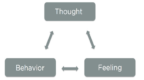 Cognitive Behavioral Theraphy diagram, thought, behavior, feeling triangle